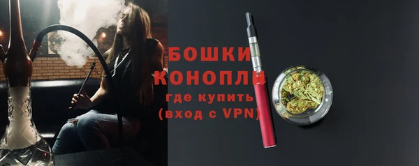 мдпв Володарск