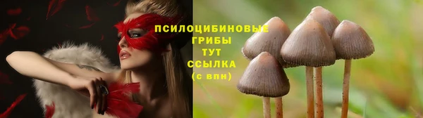 марихуана Волоколамск