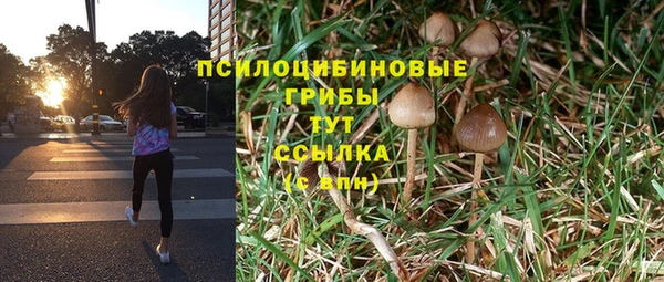 мдпв Володарск