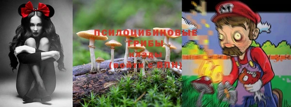 мдпв Володарск