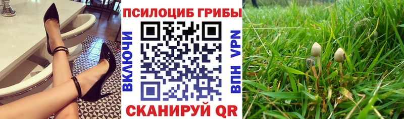 Псилоцибиновые грибы прущие грибы  наркотики  Улан-Удэ 