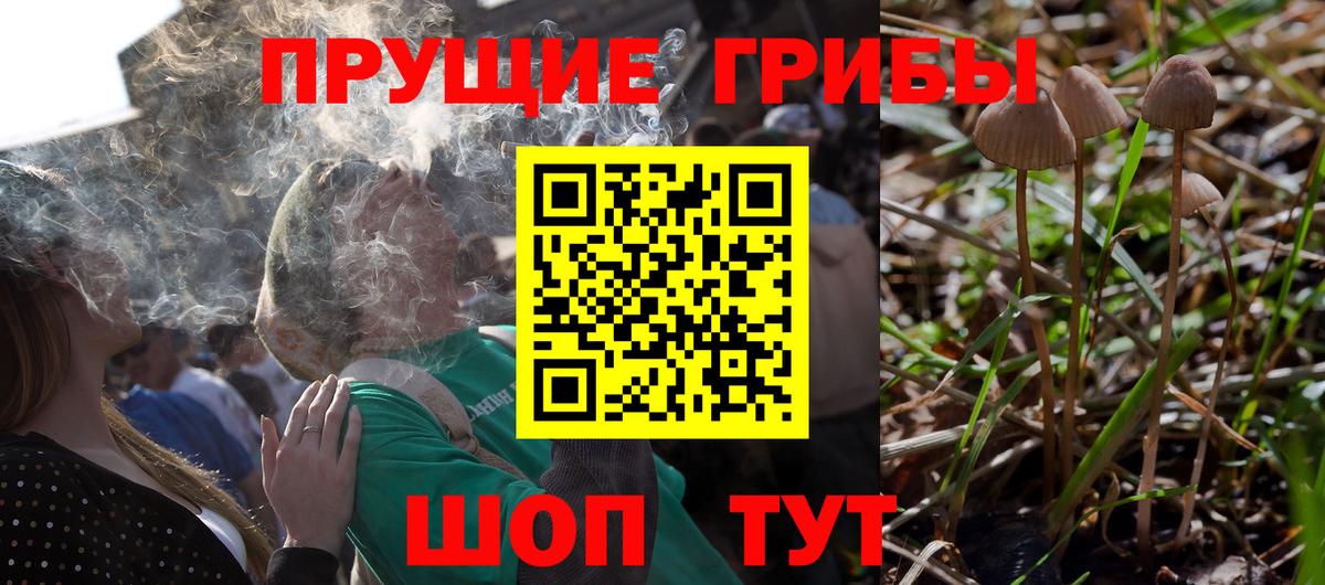 Улан-Удэ  Псилоцибиновые грибы мицелий  Вход с VPN 