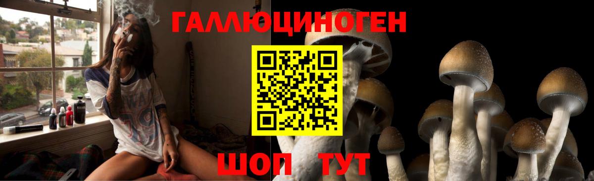 Псилоцибиновые грибы Psilocybine cubensis Улан-Удэ